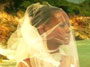 Gyptian - Beautiful Lady