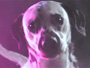 Swedish House Mafia - Save The World Tonight Teaser