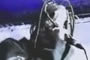 Slipknot - Wait And Bleed