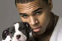 Chris Brown - Electric Guitar [Lyric Video]