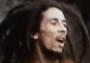 Bob Marley - Easy Skanking