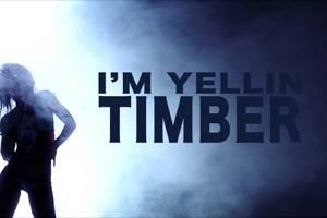 Pitbull ft. Ke$ha - Timber [Lyric Video]