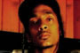 Nipsey Hussle ft. June Summers - Speak My Language